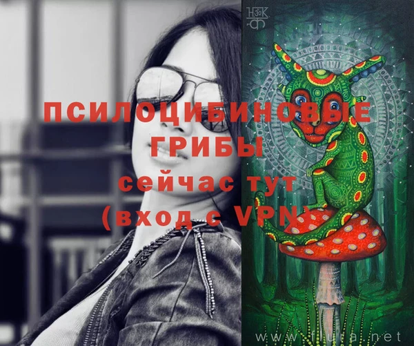 МДПВ Бугульма