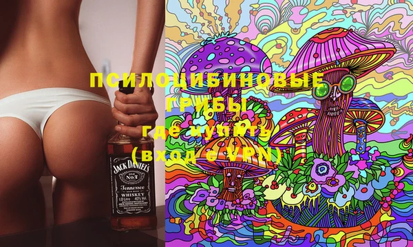 ПСИЛОЦИБИНОВЫЕ ГРИБЫ Богородицк